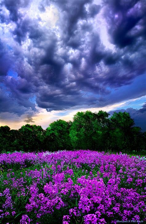 Amazing Mother Nature Cloud Purple Flowers Lilac Meadow Wisconsin