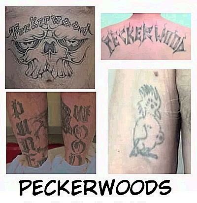 Peckerwood is a term used in the southern united states for a woodpecker which is also used as an offensive epithet toward white people, especially poor rural whites. GANGS, BULLYING & THE MAFIA: Peckerwoods Gang