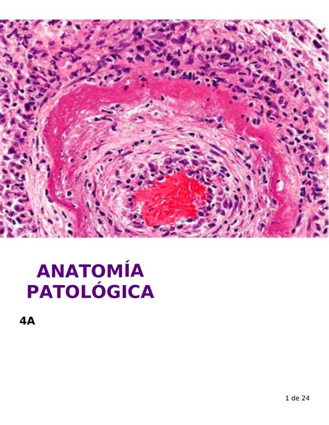 Anatomia Patologica