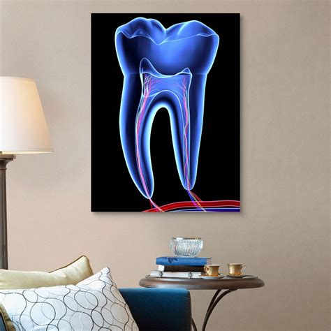Molar Tooth Canvas Art Print Ebay