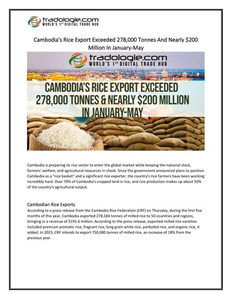 Ppt Cambodias Rice Export Exceeded 278000 Tonnes And Nearly 200