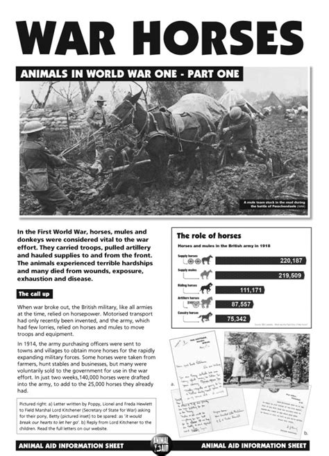 Animals In Wwi War Horses Animal Aid