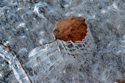 Langsam eingefroren Foto & Bild | jahreszeiten, winter ...