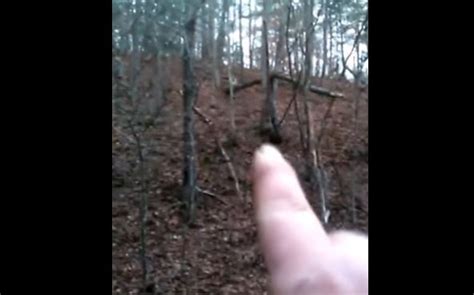 This Is How Most Bigfoot Sightings Happen