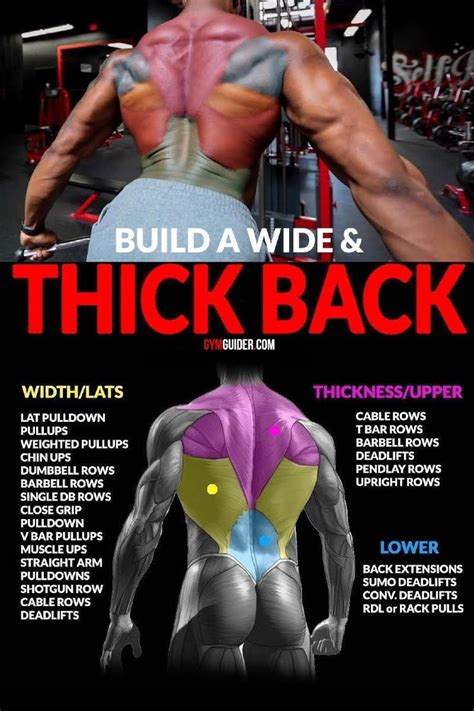 The Only Back Workout You Need For That Perfect V Shape