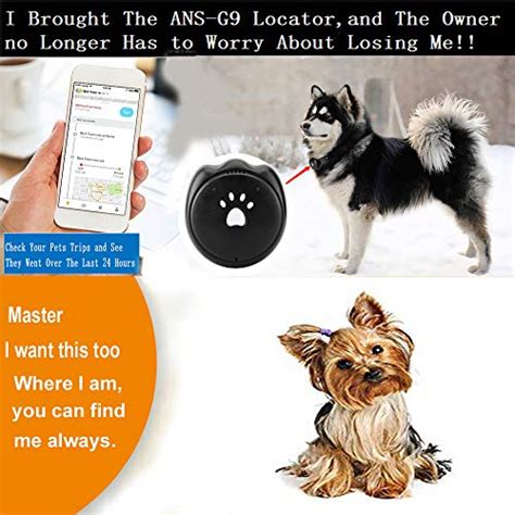 Below are the wearables that are dedicated to tracking your feline's health and location, as well. Jason Zeng GPS Pet Tracker & Activity Monitor Intelligent ...