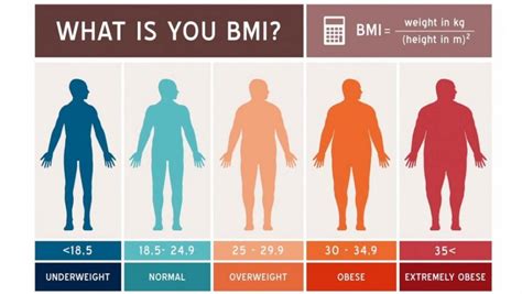 Índice de masa corporal IMC qué es y cómo se calcula