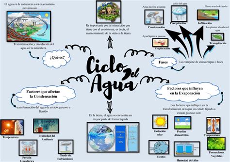 Mapa Conceptual Ciclo Del Agua