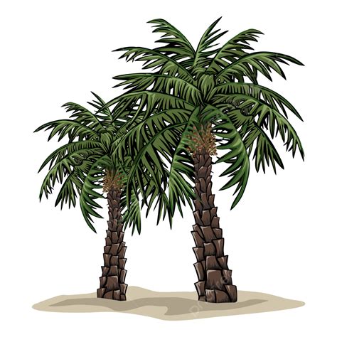 Date Palm Tree Vector Hd Png Images Date Palm Trees Date Palm Tree