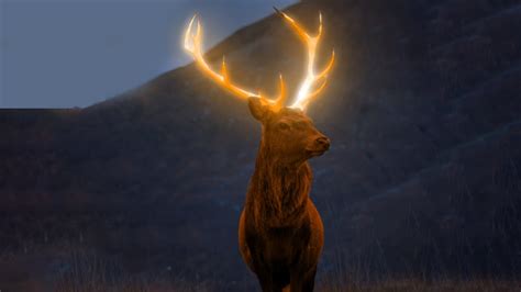 Glowing Deer Photoshop Tutorial Youtube