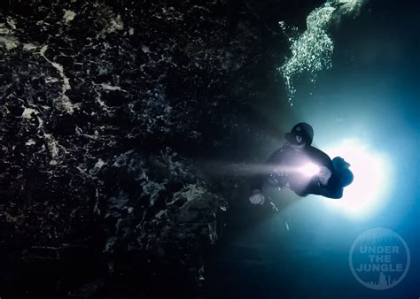 Sinkhole Diving In Yucatan State Under The Jungle
