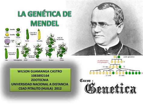 La Genetica De Mendel By Wilson Guamnga Issuu