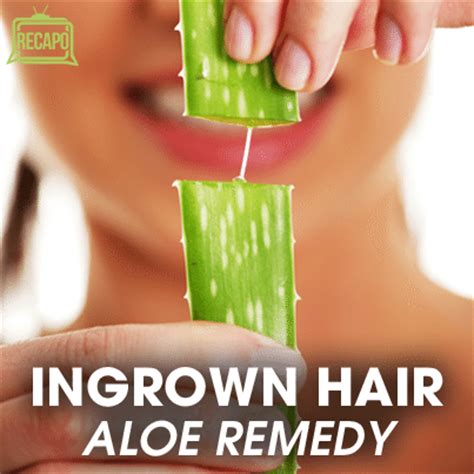 You can pluck out the hair ingrowth with a pair of. Dr Oz: Shaving To Prevent Ingrown Hairs + Aloe Home Treatment