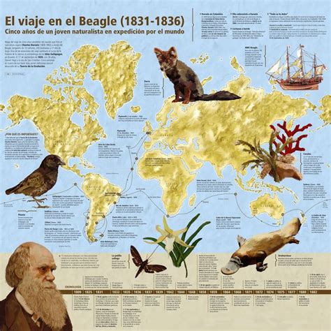 Charles Darwin Biografía Teoría Aportaciones Y Mucho Más Viaje De