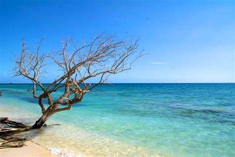 The Best Beaches In Jamaica Jamaica Beaches Tropical Trips