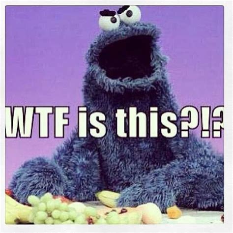 Top 90 Pictures Funny Pictures Of Cookie Monster Superb