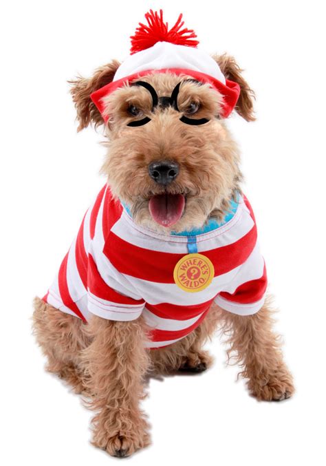 To communicate or ask something with the place. Wheres Waldo Woof Dog Costume