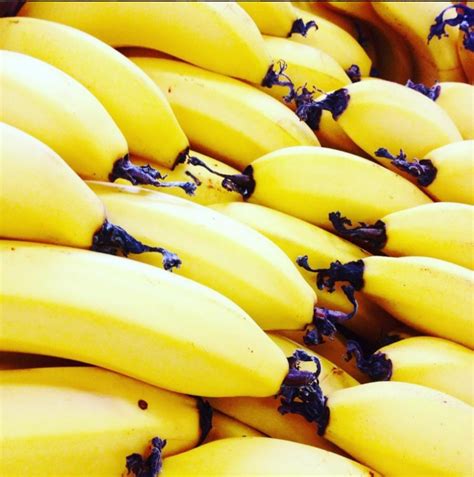 The Extinction Of Bananas Really Nathen Mixon