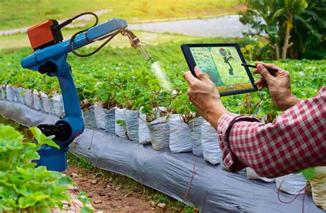 Top 10 Agricultural Robots That Automate The Business Of Growing Food