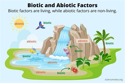 What Is Difference Between Biotic And Abiotic Components