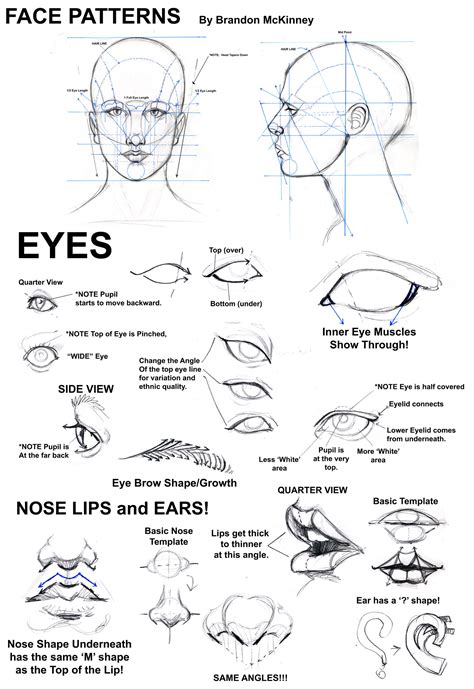 Https://tommynaija.com/draw/how To Do Draw A Face