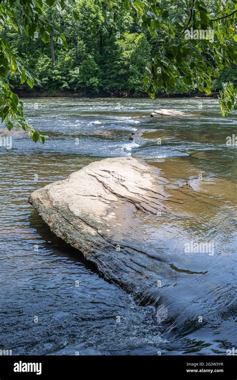 Chattahoochee River From The Chattahoochee River National Recreation