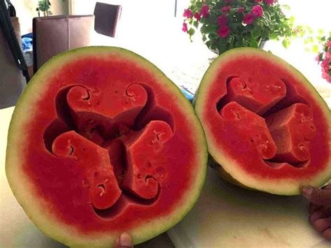 The Cause Of This Crazy Looking Watermelon May Surprise You