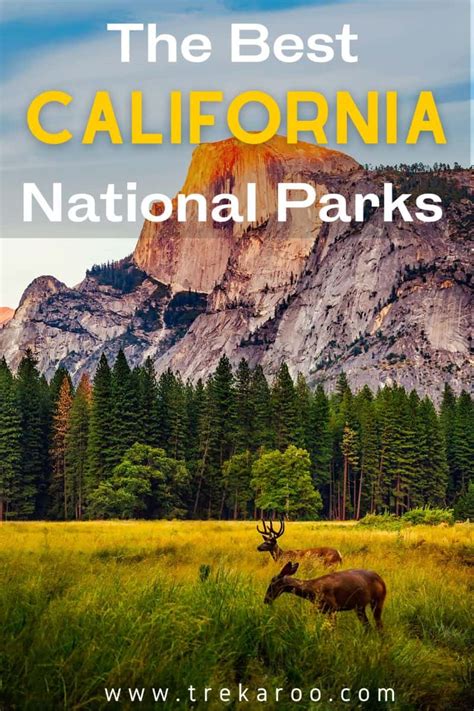 The 15 Best National Parks In California