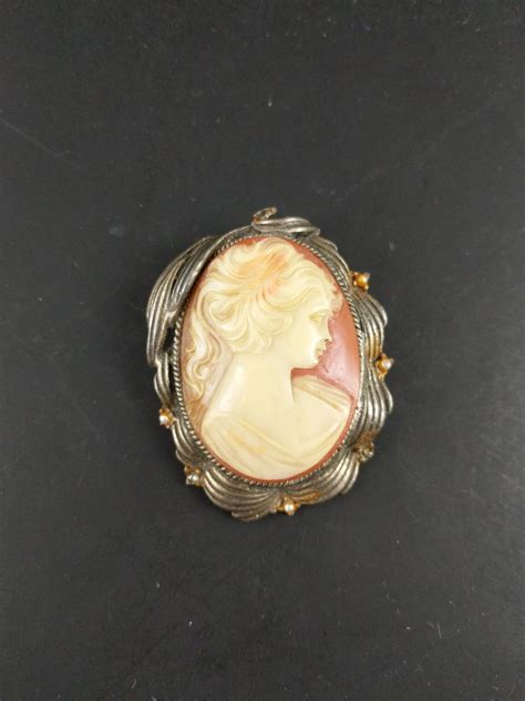 Vintage Plastic Cameo Brooch 2 Inch Silhouette Oval Pin Etsy Norway