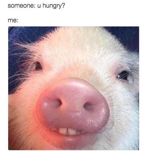 32 Memes Youll Laugh At If Youre In A Relationship With Food Funny