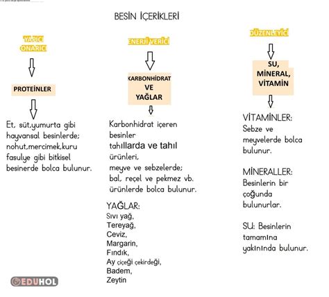 Besin İçerikleri Eduhol Ders Videoları İzle Online Test Çöz