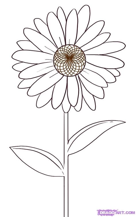 Draw this cute daisy flower by following this drawing lesson. flowers drawings - Google Search