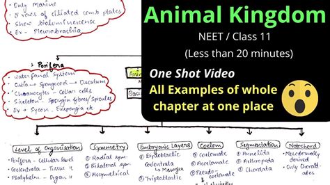 Mind Map Animal Kingdom Best Notes Class 11 Chapter 4 Neet Cbse Best
