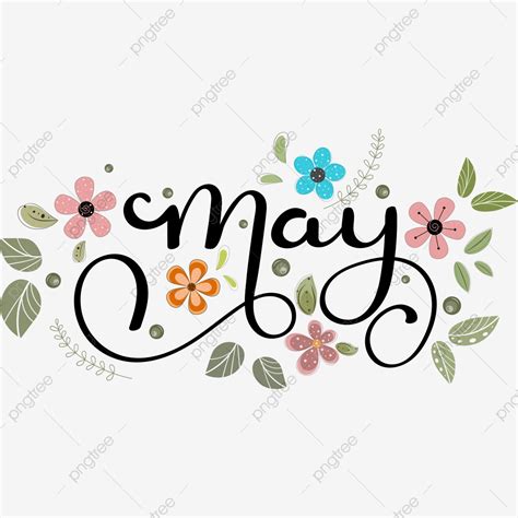 Hello May Clipart Hd Png Hello May Month Text Decorated With Flowers