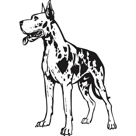 Great Dane Head Coloring Pages