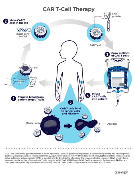 Herenciageneticayenfermedad Car T Cell Therapy Infographic National