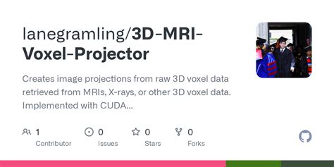 Github Lanegramling D Mri Voxel Projector Creates Image Projections