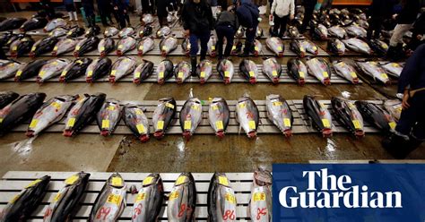 Pacific Islands Fail To Agree Plan To Protect Tuna Environment The