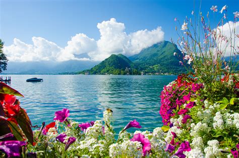 Lake Flowers Wallpapers Top Free Lake Flowers Backgrounds