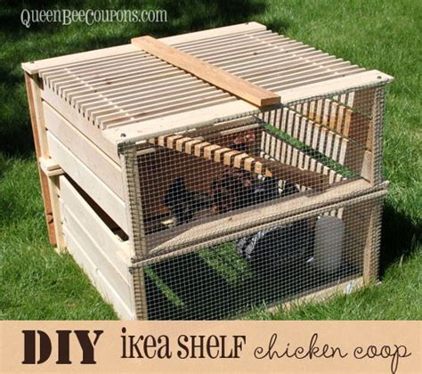 Ikea Shelf Turned Into Baby Chicken Coop Baby Chickens Coop Coop