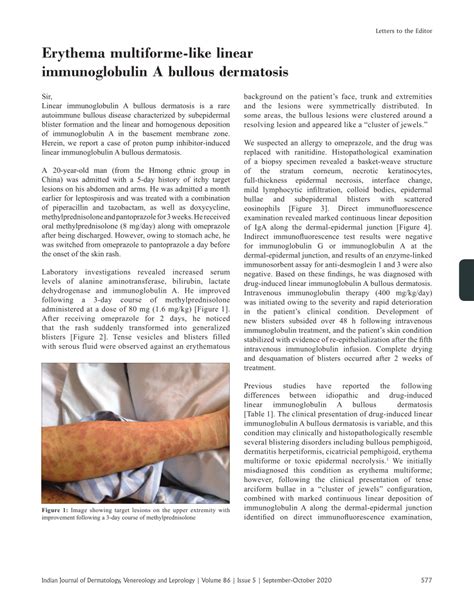 Pdf Erythema Multiforme Like Linear Immunoglobulin A Bullous Dermatosis