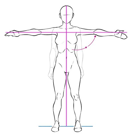 Share 78 Anatomy Body Sketch Super Hot In Eteachers