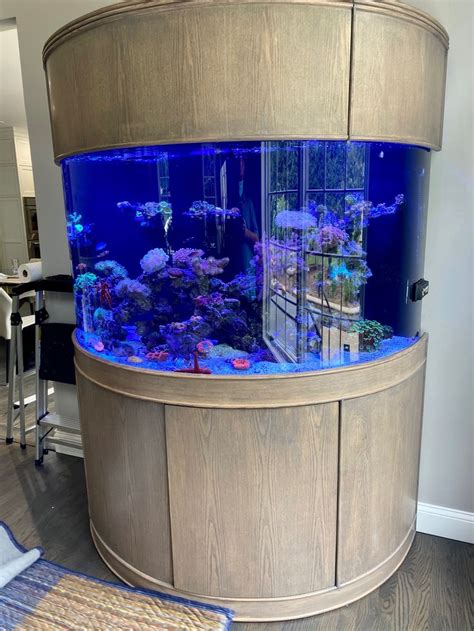 Beautiful Fish Tank Aquarium Glass Fish Tanks Round Fish Tank Aquarium