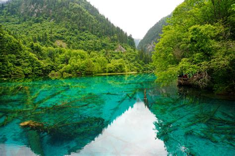 Jiuzhaigou Landscape With Green Water In Sichuan China Image Free