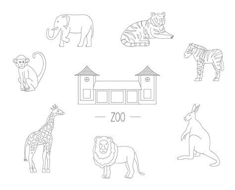 Vector Illustration Zoo Animals Isolated On White Background Line