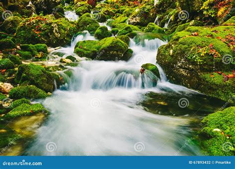 Mountain Creek Detail With Mossy Rocks And Crystal Clear Water Stock