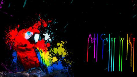 Colorful Parrot In Paint Splash By Shiftgraphix On Deviantart