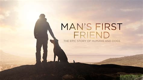 Mans First Friend Explore How Dog And Man Evolved Together To Become