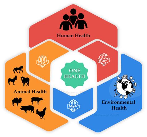 One Health And Global Animal Production — Vikaspedia