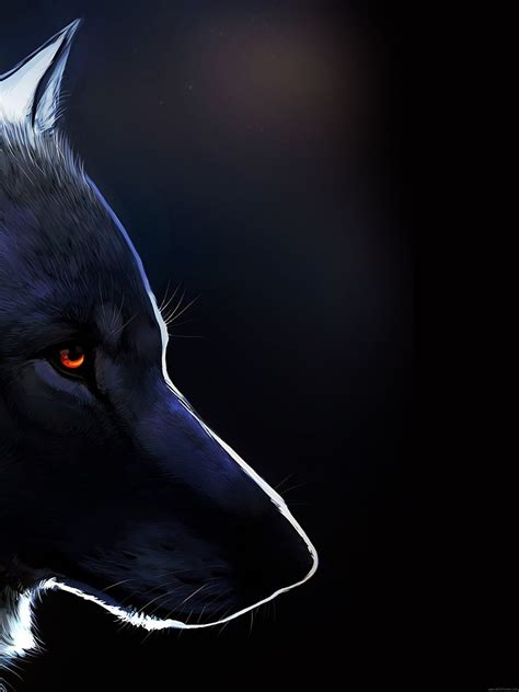 Lone Wolf Hd Wallpapers Top Free Lone Wolf Hd Backgrounds